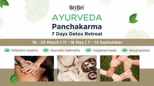 7 days Ayurveda Panchakarma Detox Retreat in Bad Antogast, Germany