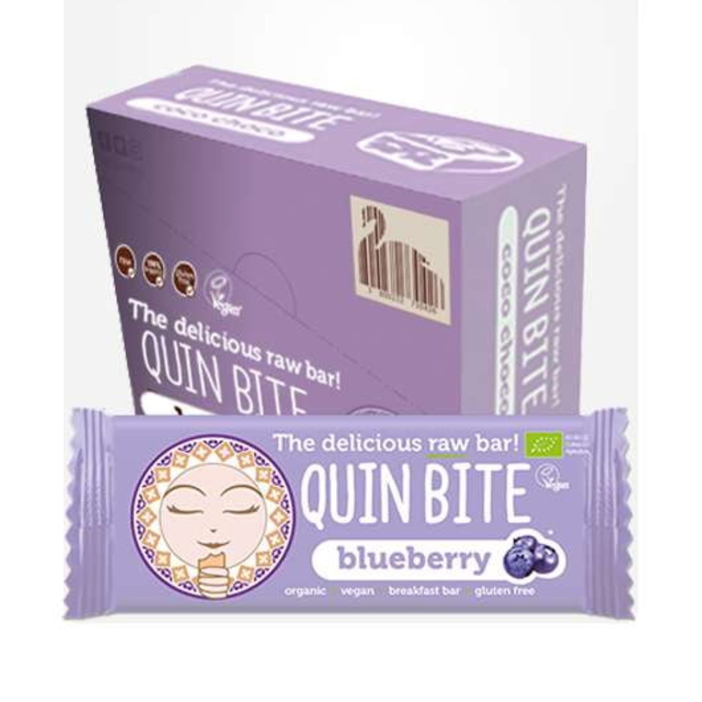 Quin Bite Bio Blaubeere | Rohbar