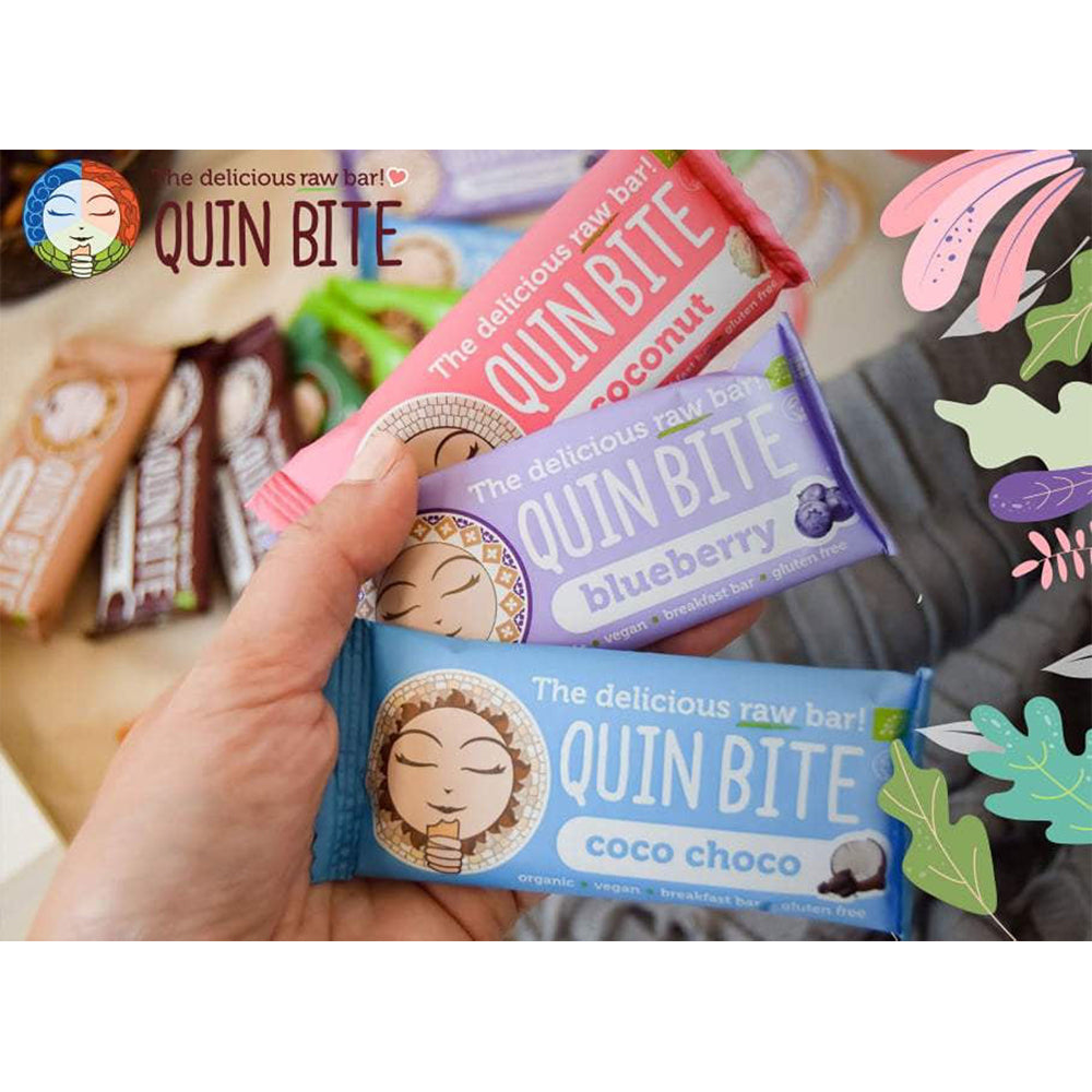 Quin Bite Bio Coco Choco | Raw Bars